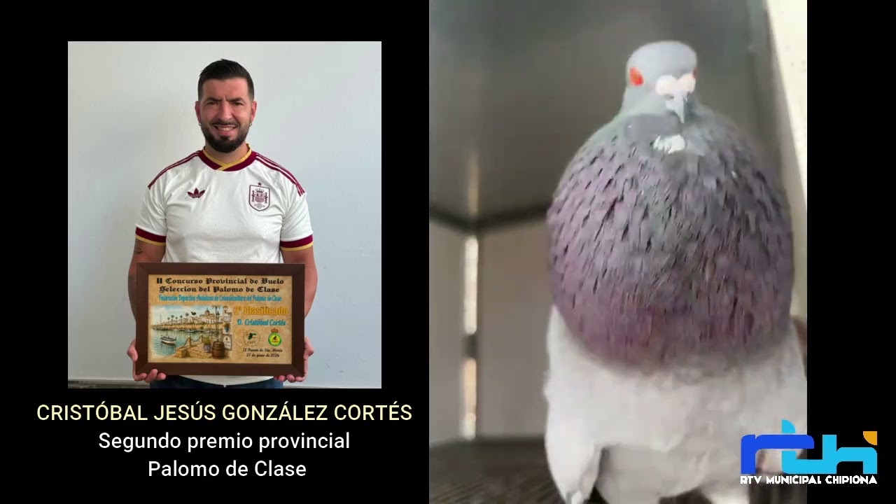 La Grada. Cristóbal Jesús González Cortés. Segundo premio provincial en Palomo de Clase.