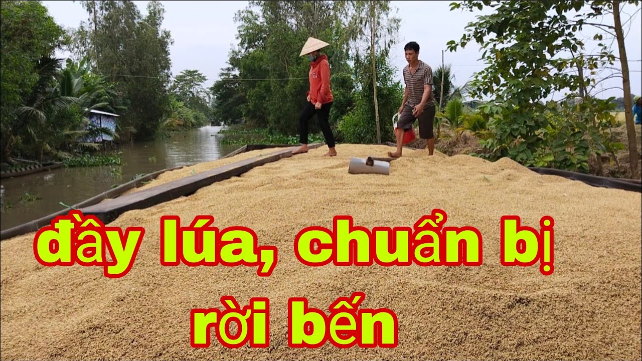 Ghe lúa đã đầy chuẩn bị rời bến - YouTube