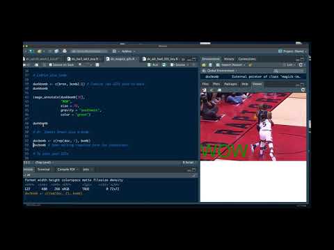 Data Visualization: Editing & Creating GIFs with the magick package