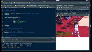 Data Visualization: Editing & Creating GIFs with the magick package