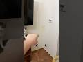 C’è un uomo spaventoso che corre via spaventato! #shorts #horror #paura #bellafaccia #ps5 #short