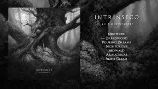 Intrínseco - Dreadwood (Full Album | Atmospheric Black Metal)