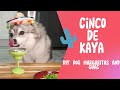 Super Easy Margarita for Dogs: DIY Recipe Using Dog-Friendly Ingredients