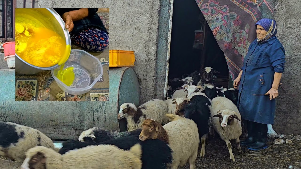 You won’t believe how this village woman makes oil from animals!😯