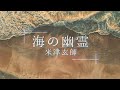 星が降る夜に「海の幽霊/米津玄師(cover)」
