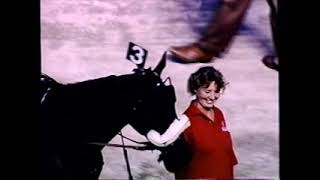 1997 Scioto Downs CHIP N MINDALE Charles Neff