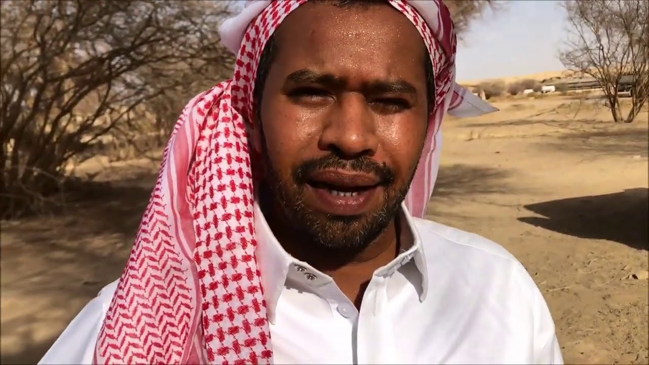 انقاذ ومعالجة شجرة معمرة   سمر نادر  مشلوخة ومصابه في عدد من الحشرات Tree Repair