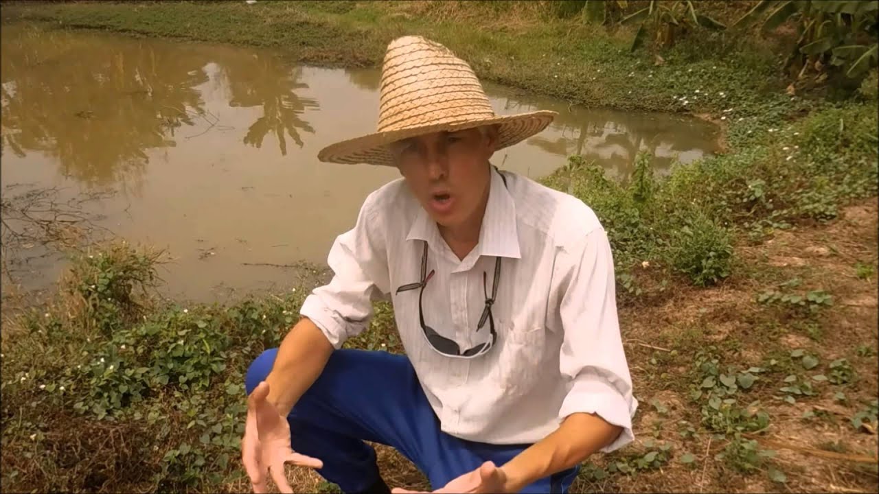 Water collection & treatment 