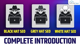 What is White Hat SEO & Gray Hat SEO & Black Hat SEO?  Techniques of SEO