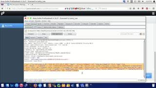 P9 Access Control Vulnerability POC screenshot 3