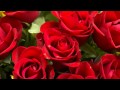 720p jim reeves sings roses  i send you roses