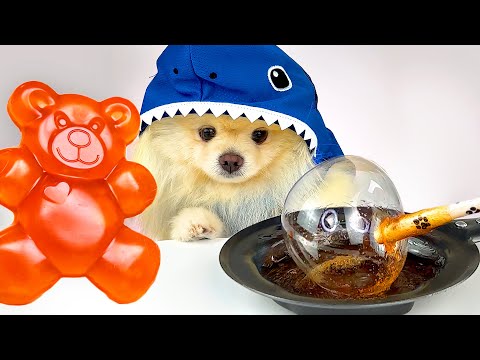 Candy ?Bubbles ? Chef Dog like a Chef Cat | life hacks | experiment With IQ Paw #iqpaw #candy #lif