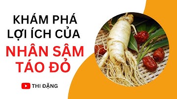 Khám Phá Lợi Ích Của Nhân Sâm Táo Đỏ - Thi Đặng - ANaNa Nhân Sâm Korea