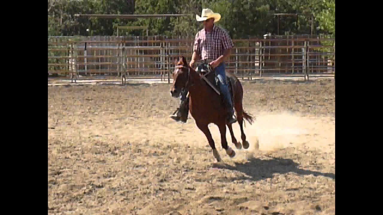 Smart Peppy Lights (2011 CD Lights filly trained by Jake Gorrell)