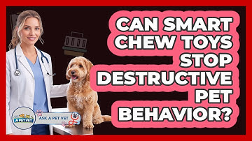 Can Smart Chew Toys Stop Destructive Pet Behavior? - Ask A Pet Vet