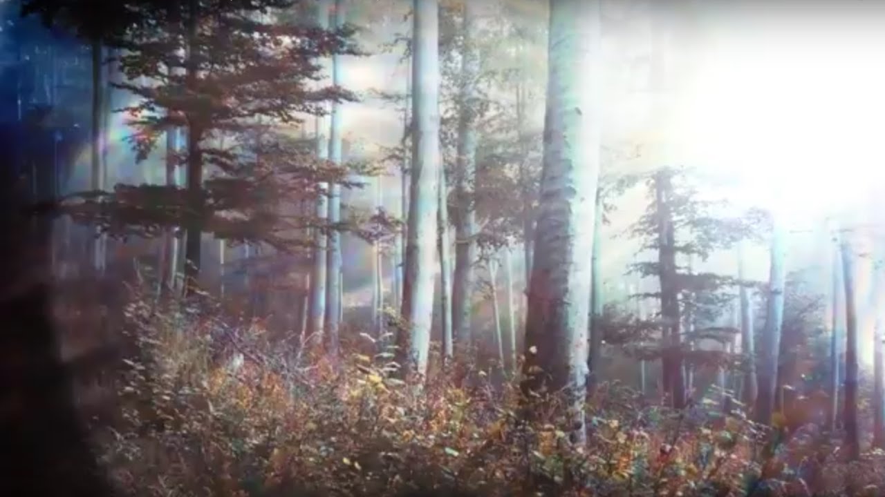 Second Runner Up "Fall (Knock Me Down)"