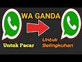 Cara Membuat 2 Akun WhatsApp Dalam 1 Hp