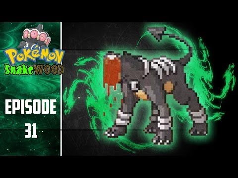 Pokemon Snakewood: Episode 31 | Dragon Gym Battle