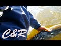 КРАСИВЫЕ и ПРИЯТНЫЕ моменты в рыбалке! C&R