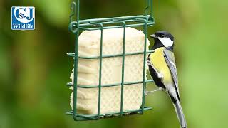 National Trust Rhine Peanut Cake Square Feeder
