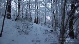 ACANTA feat Zero Project - Winter Emotions HD - The Mystic Trees
