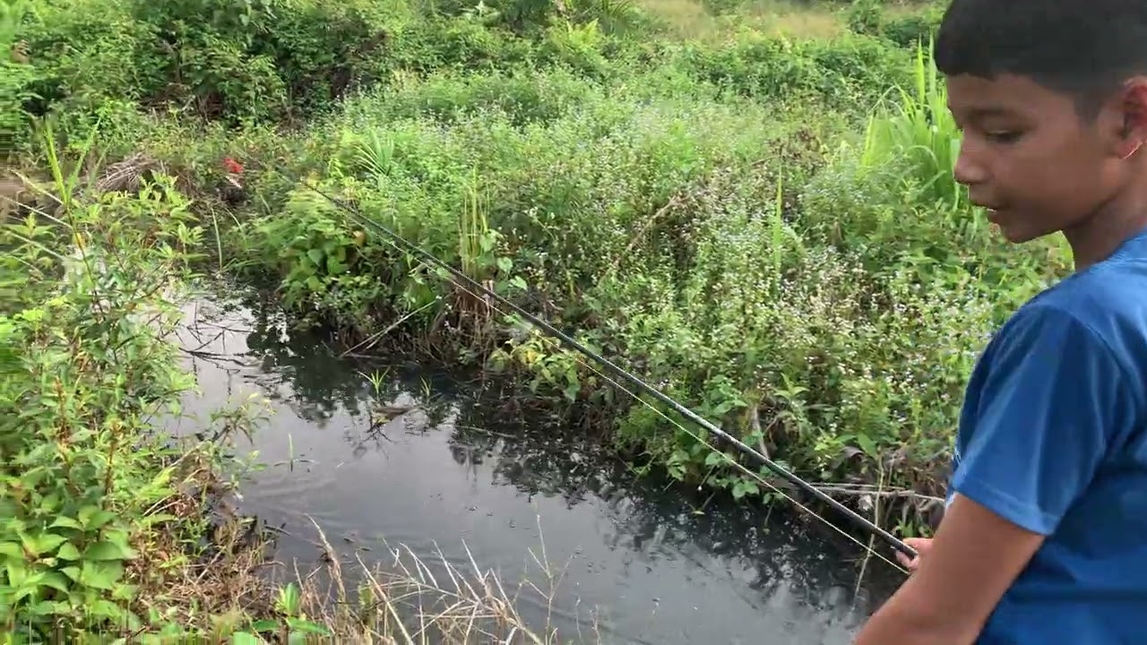 Masih pemula makanya boncos 😑😑😑