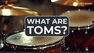 What Are Toms?