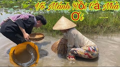 Đẩy Côn Bắt Cá Mùa Nước Nổi Dính Cá Lóc,Cá Rô Phi Quá Tuyệt Vời#hằngmiềntâytv #mientay #batca