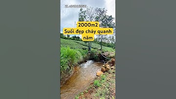 2000m2 suối đẹp chảy quanh năm ở Bảo Lộc #datbaoloc #batdongsan #muabandatgiare #cuocsong