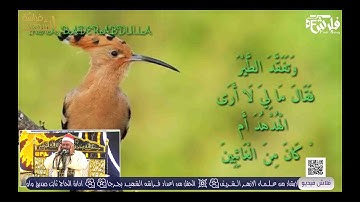 " ولقد آتينا داود وسليمان علما " تلاوة رائعة للشيخ ابوزيد النغموشى 💛افراح المـواس  وآل البـوابـه