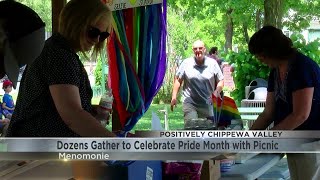 Dozens gather to celebrate Pride Month with picnic