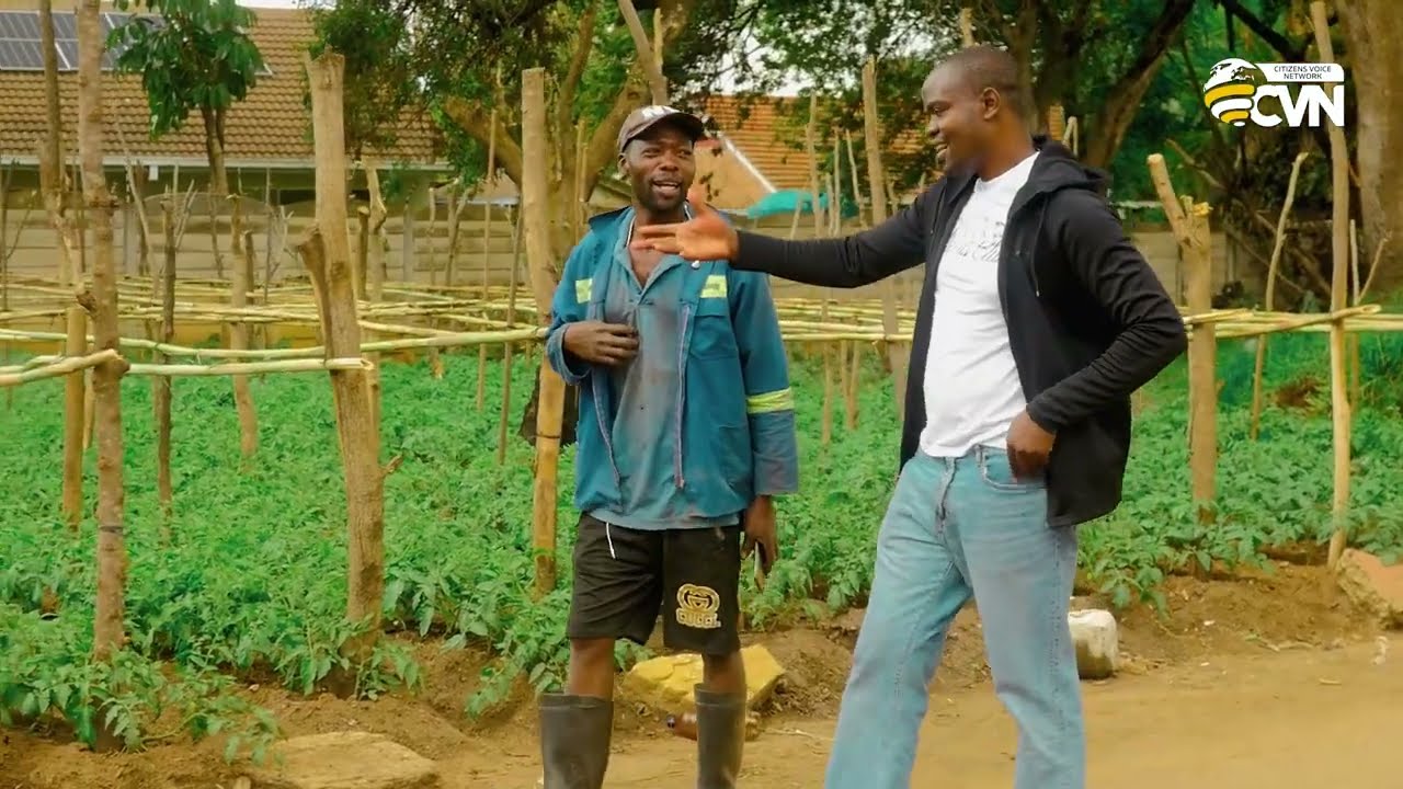 He makes thousands from a tiny plot in Harare