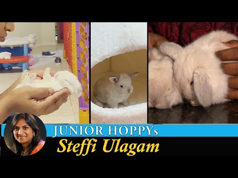 Bunny Babies | Kutty Hoppy | Baby Rabbits Vlog in Tamil