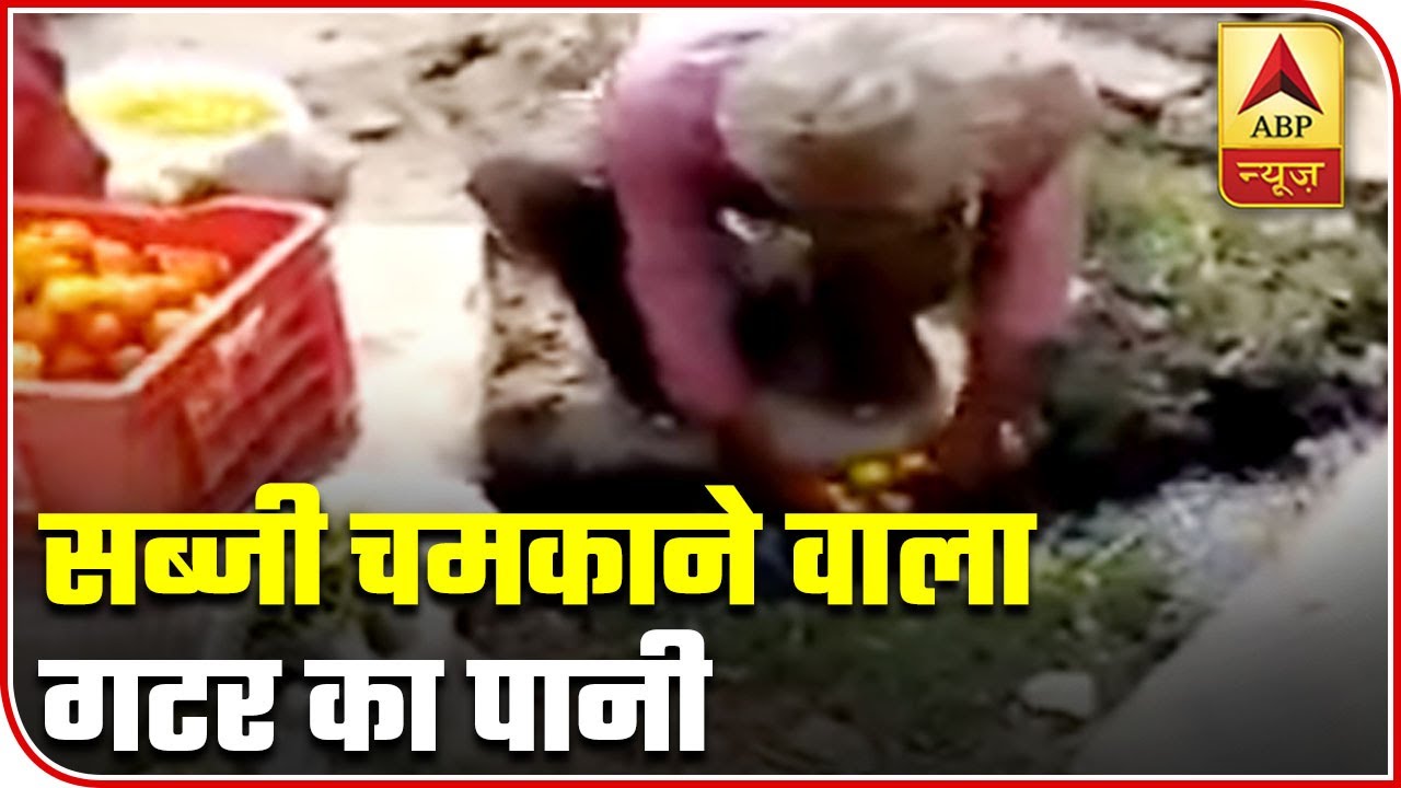 Rajasthan: Vegetable Vendor Caught Cleaning Vegetables In Sewer Water | ABP News