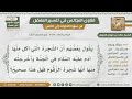 1009 4717 هل صحيح أن الشجرة التي أكل منها آدم هي الزقوم الشيخ صالح الفوزان