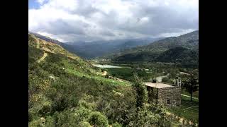 The Bisri Dam: Asset or Environmental Issue?