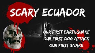 Scary Ecuador - Our First Earthquake, Our First Dog Attack, Our First Snake
