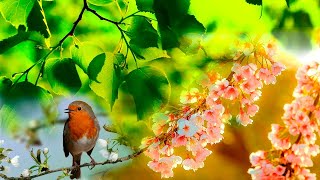 «Хмельной апрель» 💢 Стихи Лидии Тагановой на фоне красивой мелодии