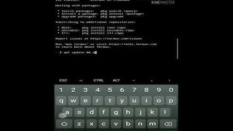 Matrix effect in termux