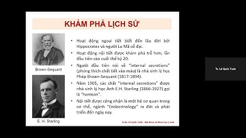 Sinh lý NỘI TIẾT YDS 2025 - TS. Lê Quốc Tuấn