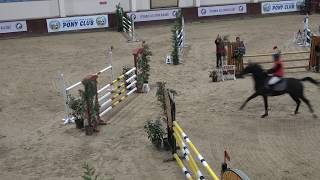 Hüsnü Dinç & Evert, İASK YIL SONU MÜSABAKALARI 130 CM DÖRDÜNCÜSÜ, 22 12 2018 mp4