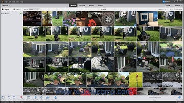 Photoshop Elements 2021 Tutorial Creating and Using Albums Adobe Training