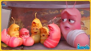 Larva Glue ( Season 3) Larva Cartoons - Official🍟 Best Cartoon Movie 20245