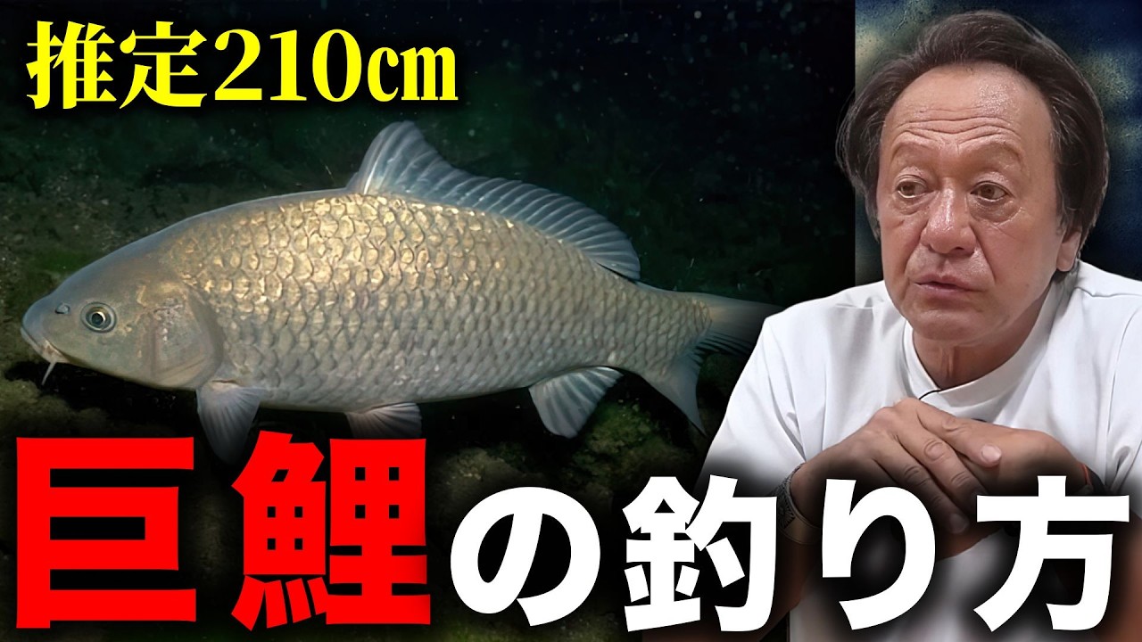 A thorough explanation of the easiest way to catch giant carp