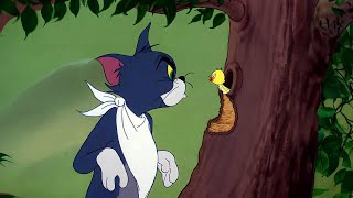 Tom and Jerry - Episode 87 - Downhearted Duckling (AI Remastered) #tomandjerry #remastered #1440p