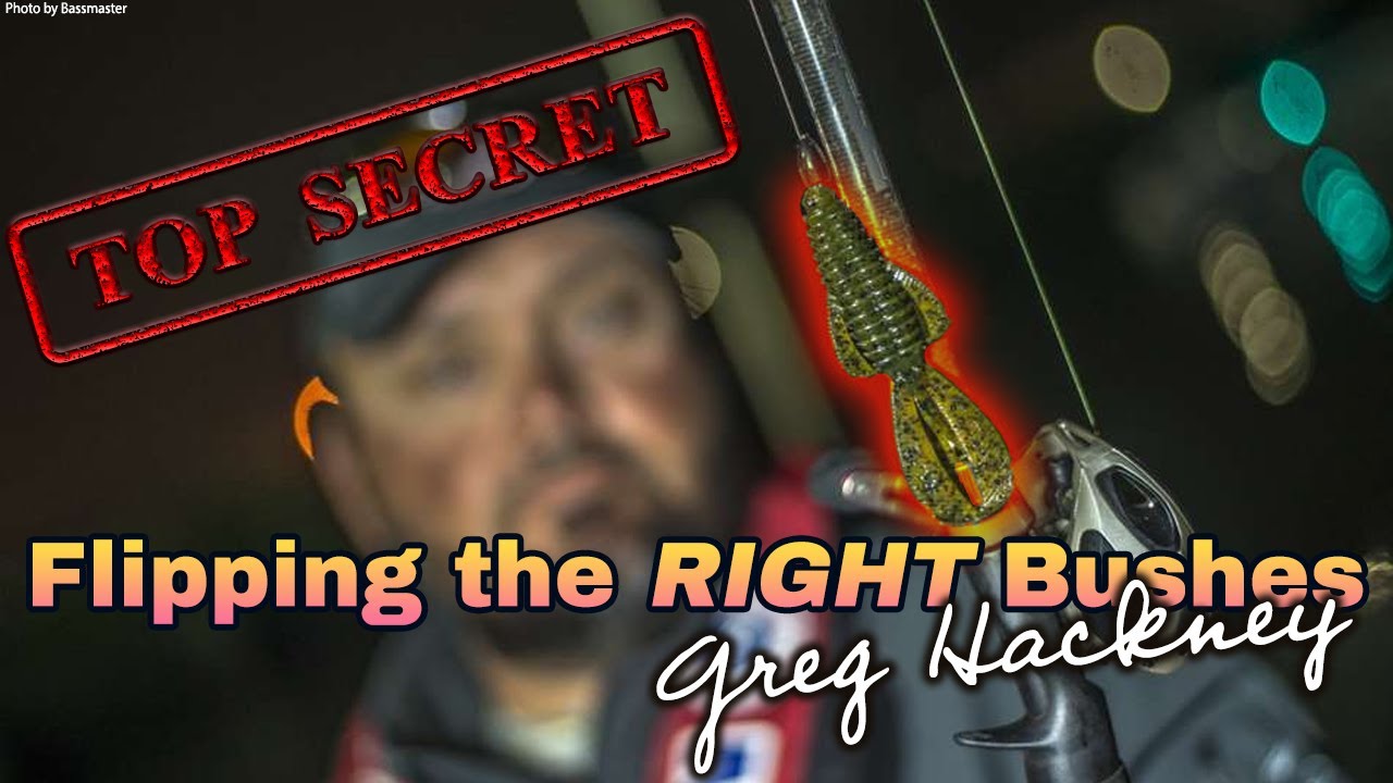THESE Bushes Have BIG BASS – Greg Hackney