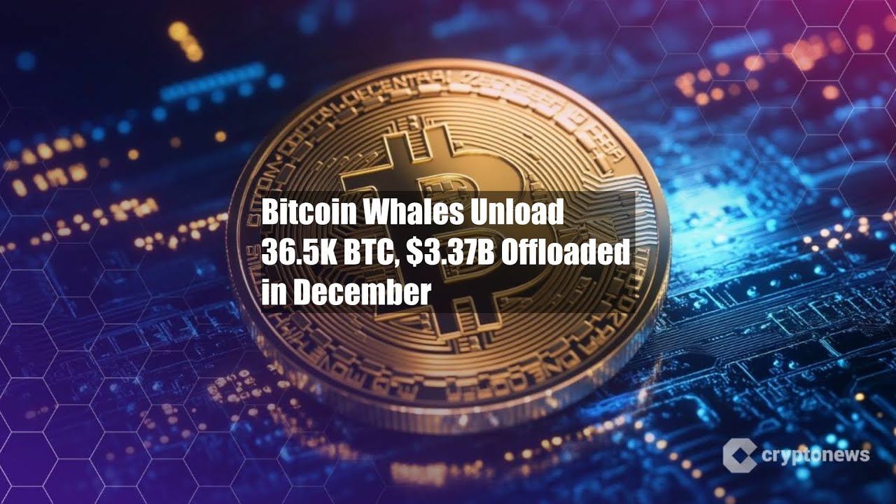 Bitcoin Whales Unload 36.5K BTC, $3.37B Offloaded in December - YouTube