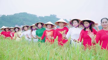 HỘI CHỊ EM - Thăm cánh đồng lúa - Biển Động  - Lục Ngạn - BG