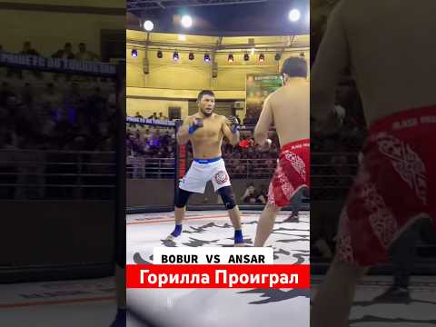 Горилла проиграл #mma #muradaov #мма #файтинг #бокс #харидуз #ufc #кунфу #бои #юфс