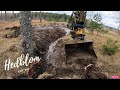 Dewatering and stumps Part 1